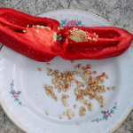 Как правильно заготавливать свои семена перца?