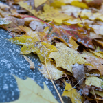 Штормовое предупреждение: ожидаются заморозки