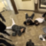 Будьте осторожны! Не верьте глазам глазам своим