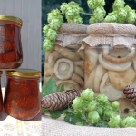 Варенье из сосновых шишек по рецепту Тимура Доброва