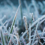 В Кыргызстане 5-8 ноября резко похолодает