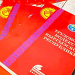 Ату пенсионеров, ату!