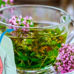 Заболевания органов дыхания. Народные средства лечения