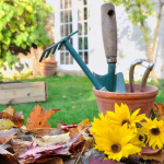 Ноябрь: время позаботиться о хорошем урожае