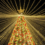 Главную елку зажгут завтра