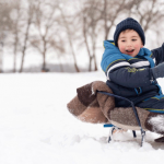 Зимние каникулы продлятся две недели