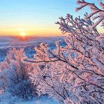 Месяц январь — зимы сердцевина