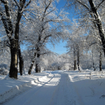 Декабрь — месяц лютый, спрашивает, как обутый