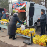 Сельхозярмарки — спасение для кошельков, или Почему базарные цены «кусаются»?