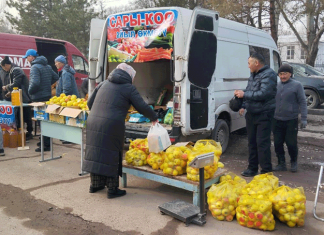 Сельхозярмарки — спасение для кошельков, или Почему базарные цены «кусаются»?