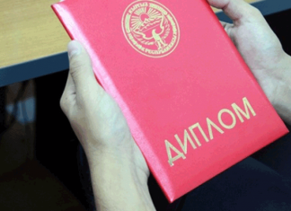 Красный диплом — путевка на госслужбу