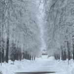 Февраль — предвестник весны