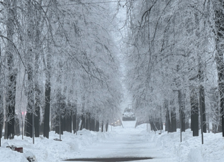 Февраль — предвестник весны