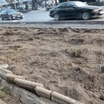 Как розы были хороши