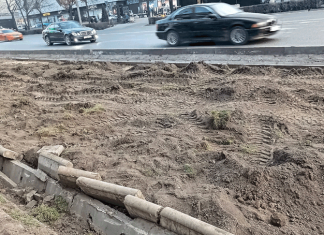 Как розы были хороши