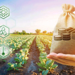 Фермерам выделили 4 миллиарда сомов на кредиты