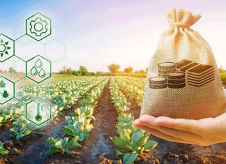 Фермерам выделили 4 миллиарда сомов на кредиты