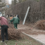 Долой заборы!