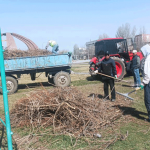 Истребители тени