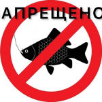 В Таласской области временно запретили рыбалку