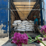 Первая партия семян люцерны отправлена в Россию