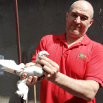 Как прекрасен мир, когда взлетают в небо голуби