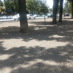 На газонах только травка и никаких кустов!