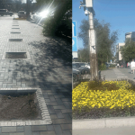 Не заменят деревья яркие цветы