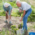 Важная работа в саду