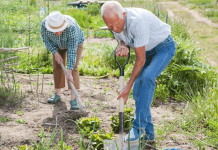 Важная работа в саду