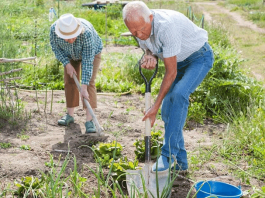 Важная работа в саду