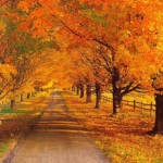 Сентябрь красное лето провожает, золотую осень встречает