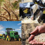 Сельхозперепись пройдёт с 1 по 20 ноября