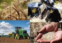 Сельхозперепись пройдёт с 1 по 20 ноября