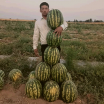 Признание успехов кыргызстанского агрария