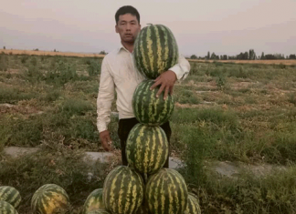 Признание успехов кыргызстанского агрария