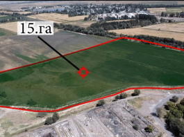 200 гектаров вернули государству