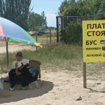 Юные сборщики денег