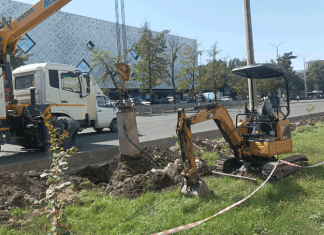 По газону едет экскаватор