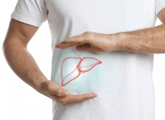 Найден способ полностью восстановить здоровье печени и кишечника