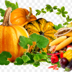 Осенью включите в рацион эти продукты — болезни уйдут, а организм откроет скрытый ресурс