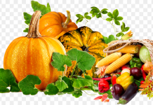 Осенью включите в рацион эти продукты — болезни уйдут, а организм откроет скрытый ресурс