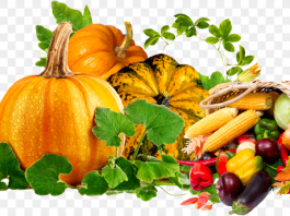 Осенью включите в рацион эти продукты — болезни уйдут, а организм откроет скрытый ресурс