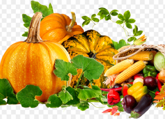 Осенью включите в рацион эти продукты — болезни уйдут, а организм откроет скрытый ресурс