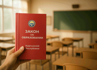 В парламенте вспомнили, что нужно думать о детях