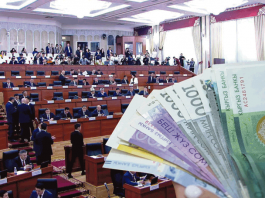 Самораспустившиеся депутаты остались без работы?  Но с зарплатой?