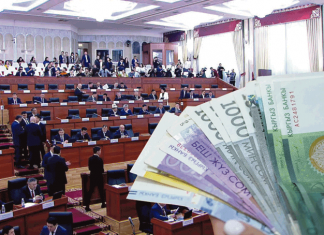 Самораспустившиеся депутаты остались без работы? Но с зарплатой?