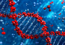Предлагается ввести обязательную ДНК-регистрацию для осужденных и иностранцев