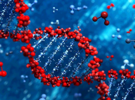 Предлагается ввести обязательную ДНК-регистрацию для осужденных и иностранцев