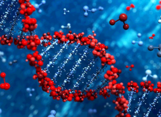 Предлагается ввести обязательную ДНК-регистрацию для осужденных и иностранцев